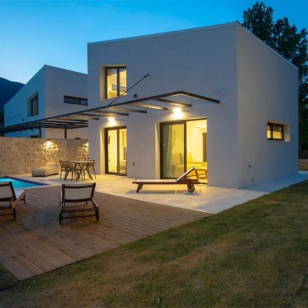 Seascape Villas Vassiliki - Beachfront Villas Exterior foto